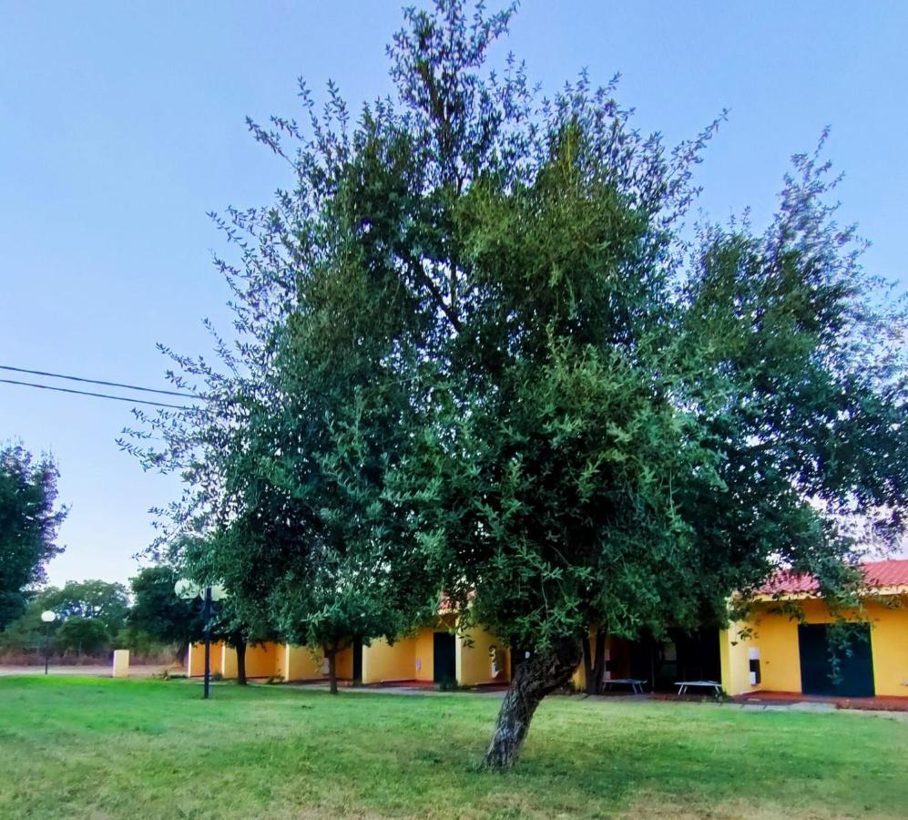 Nuraghe Ruiu Camping & Bungalow Norbello Bagian luar foto