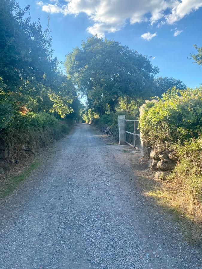 Nuraghe Ruiu Camping & Bungalow Norbello Bagian luar foto