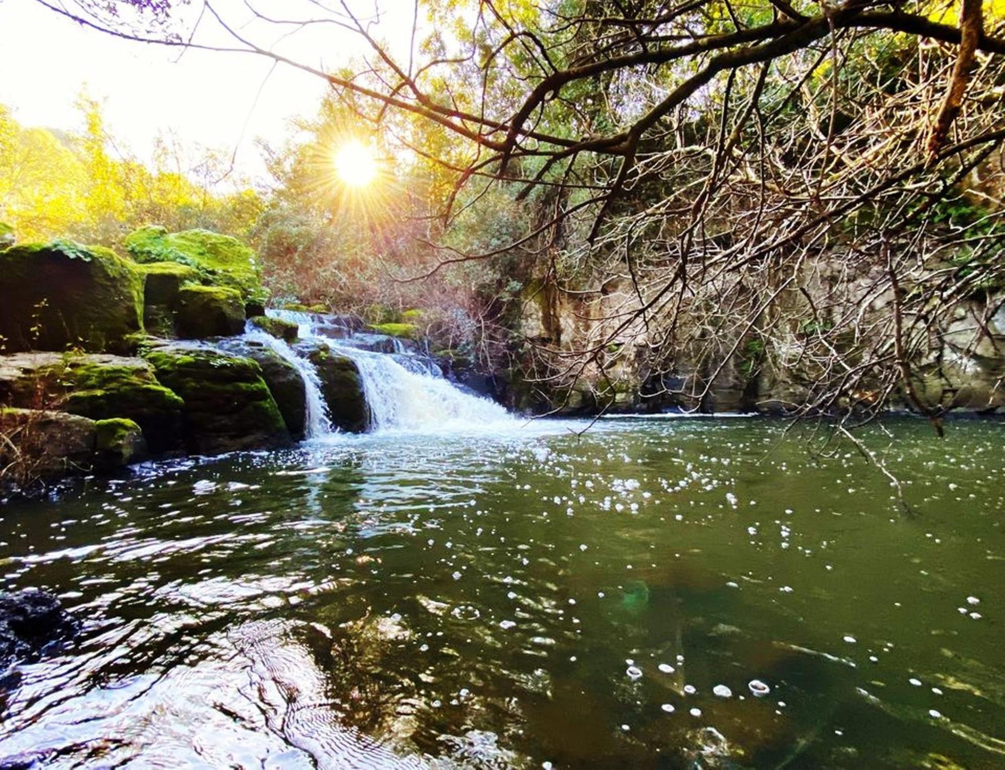 Nuraghe Ruiu Camping & Bungalow Norbello Bagian luar foto